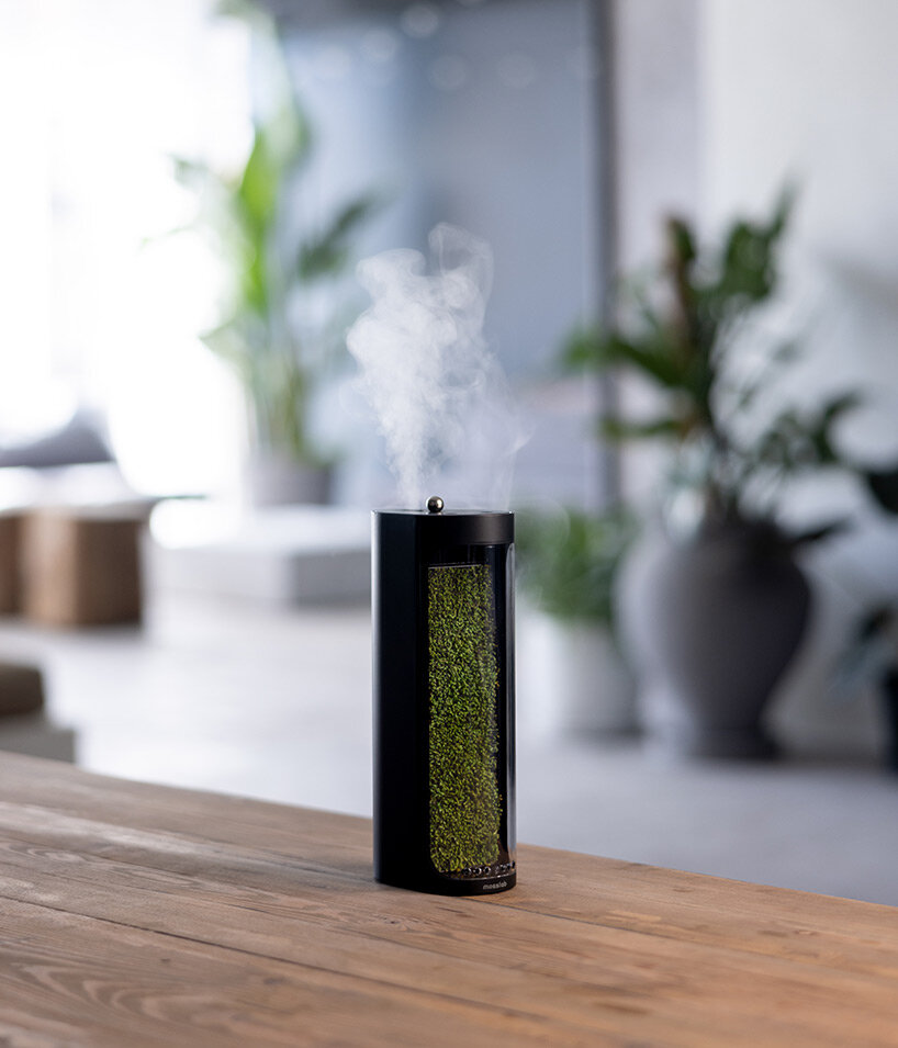 moss air by mosslab: the desktop-sized air humidifier & purifier