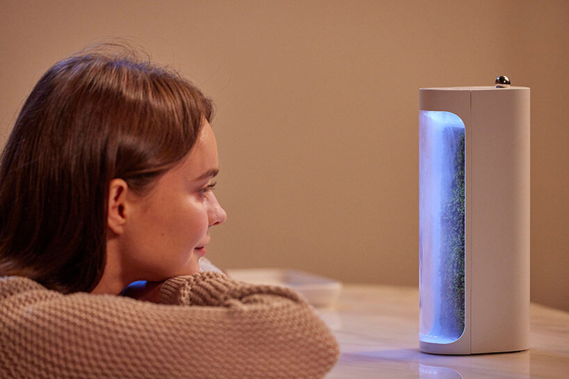 moss air by mosslab: the desktop-sized air humidifier & purifier