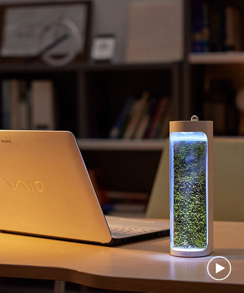 mosslab's desktop-sized humidifier & purifier turns dry air into moisture-rich environments