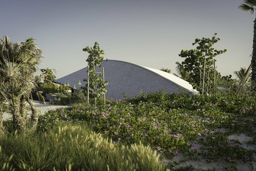 kengo kuma turns wood and clay into offshore red sea villas in saudi arabia