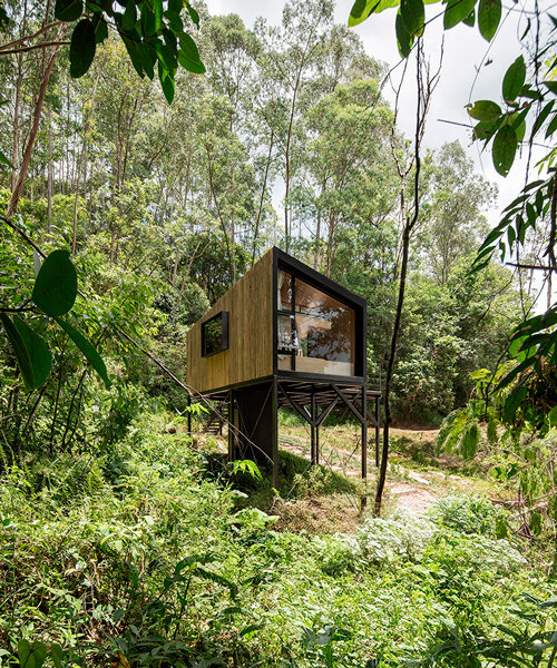 elevated tiny cabin by natureza urbana floats between trees in são paulo