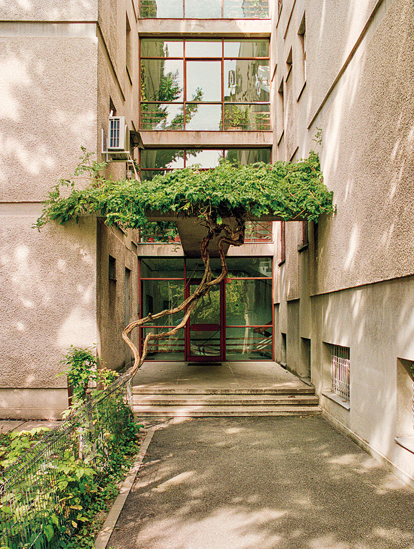 plants vs concrete: a world of eco-brutalism unfolds inside new photography book