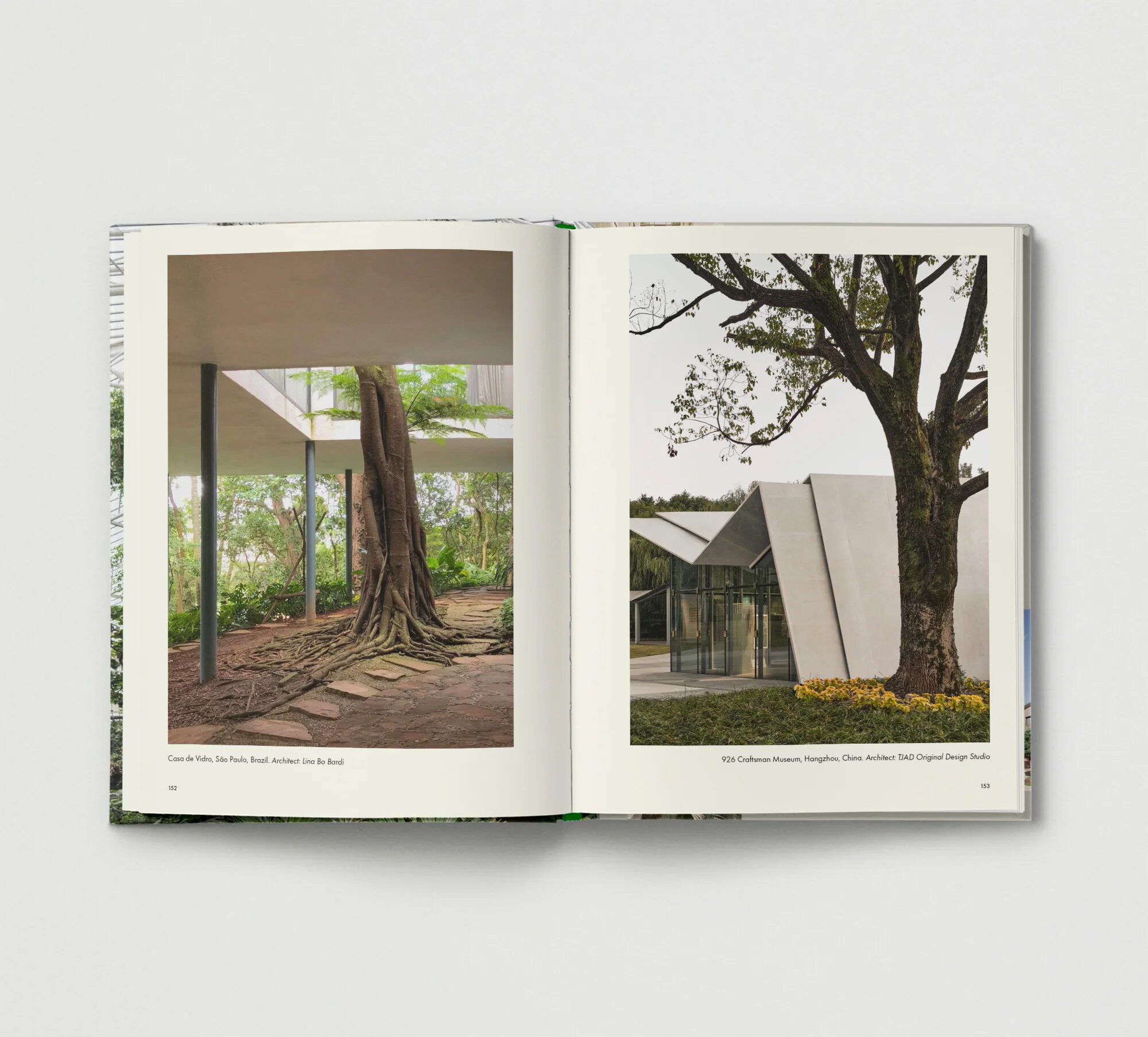 brutalist-plants-book-olivia-broome-designboom-full-02