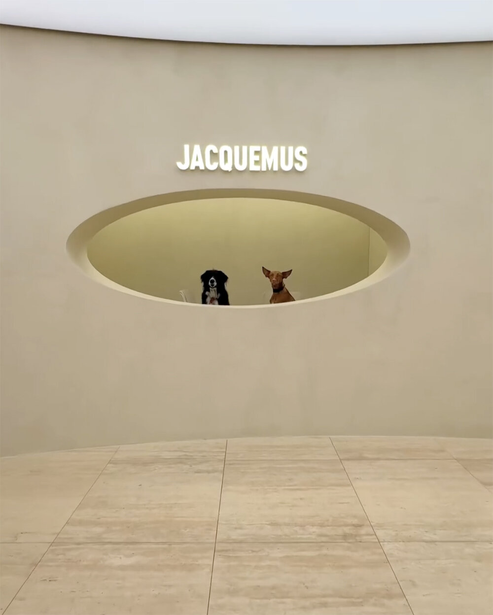 enter jacquemus' art-filled office designed by OMA in Paris