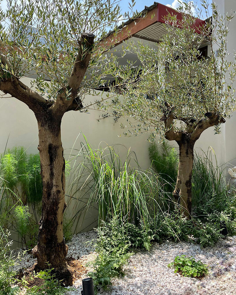 fluid facade envelops all-white monolithic curlicue house in singapore