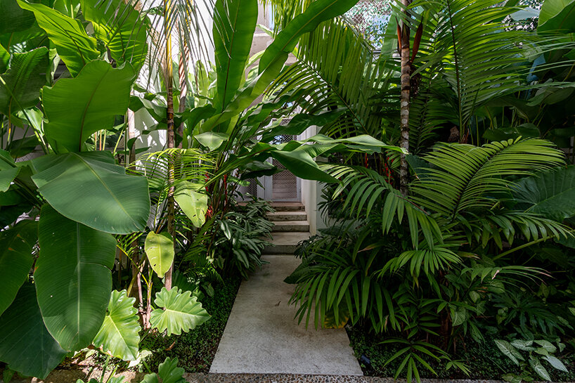 brazilian flora envelops community living project by laurent troost architectures