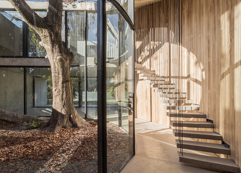 atelierM's grassy LuMa house encircles a century-old oak tree in argentina