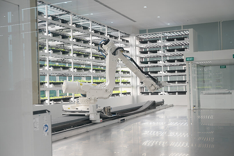 na oh restaurant fuses tradition, innovation and sustainability at hyundai’s smart farm in singapore