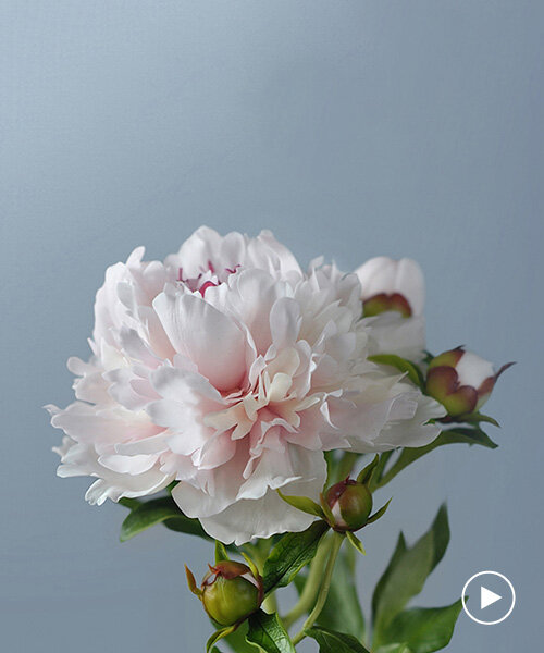 from peonies to lilacs, julia oleynik creates clay flowers that look just like the real thing