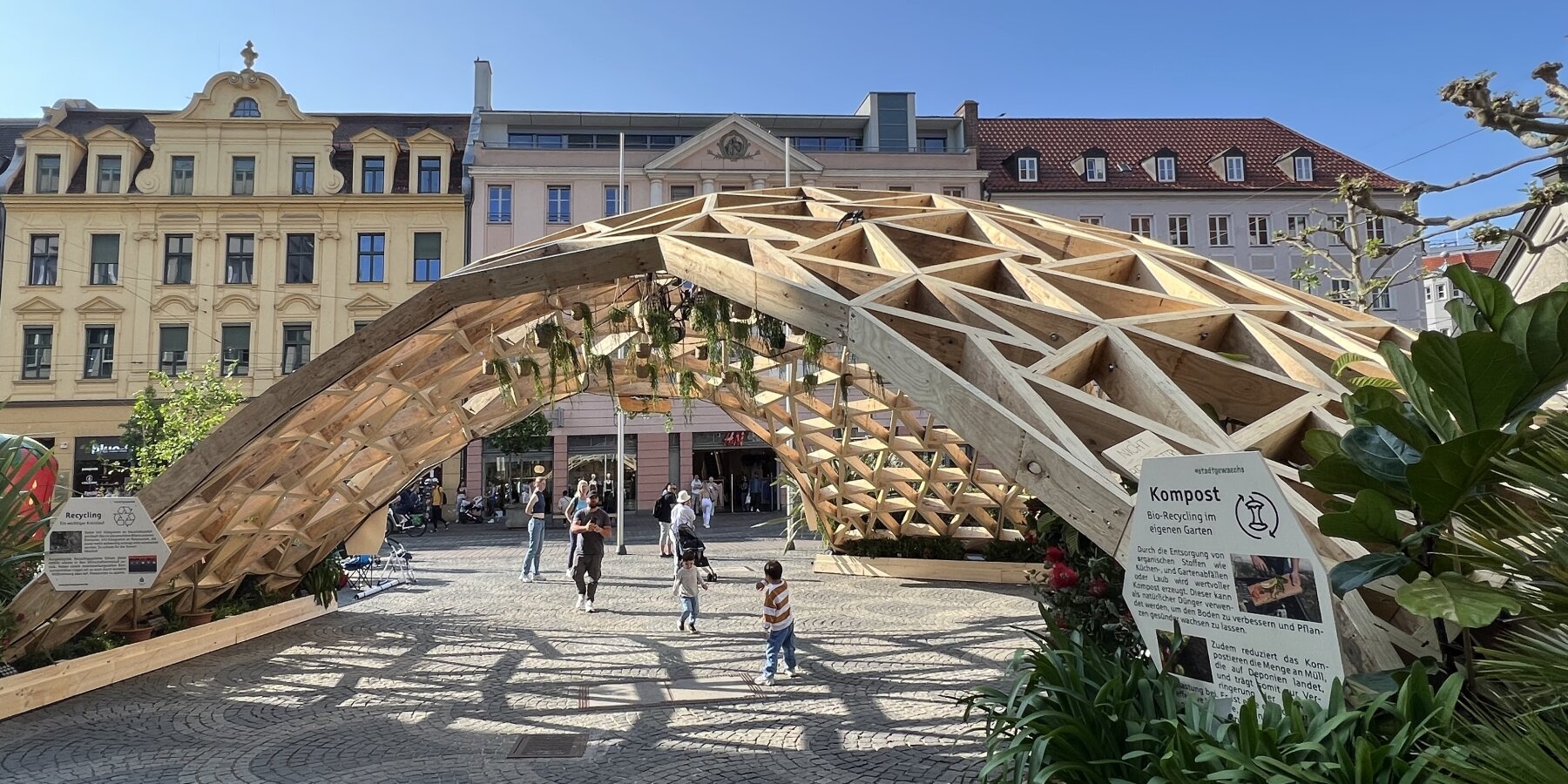 timber gridshell assembles free-form shapes combining trivalent and ...