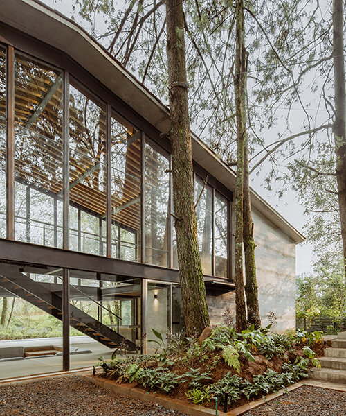 a glass house in the woods: 1i arquitectura's modern dwelling is sheltered by tall trees