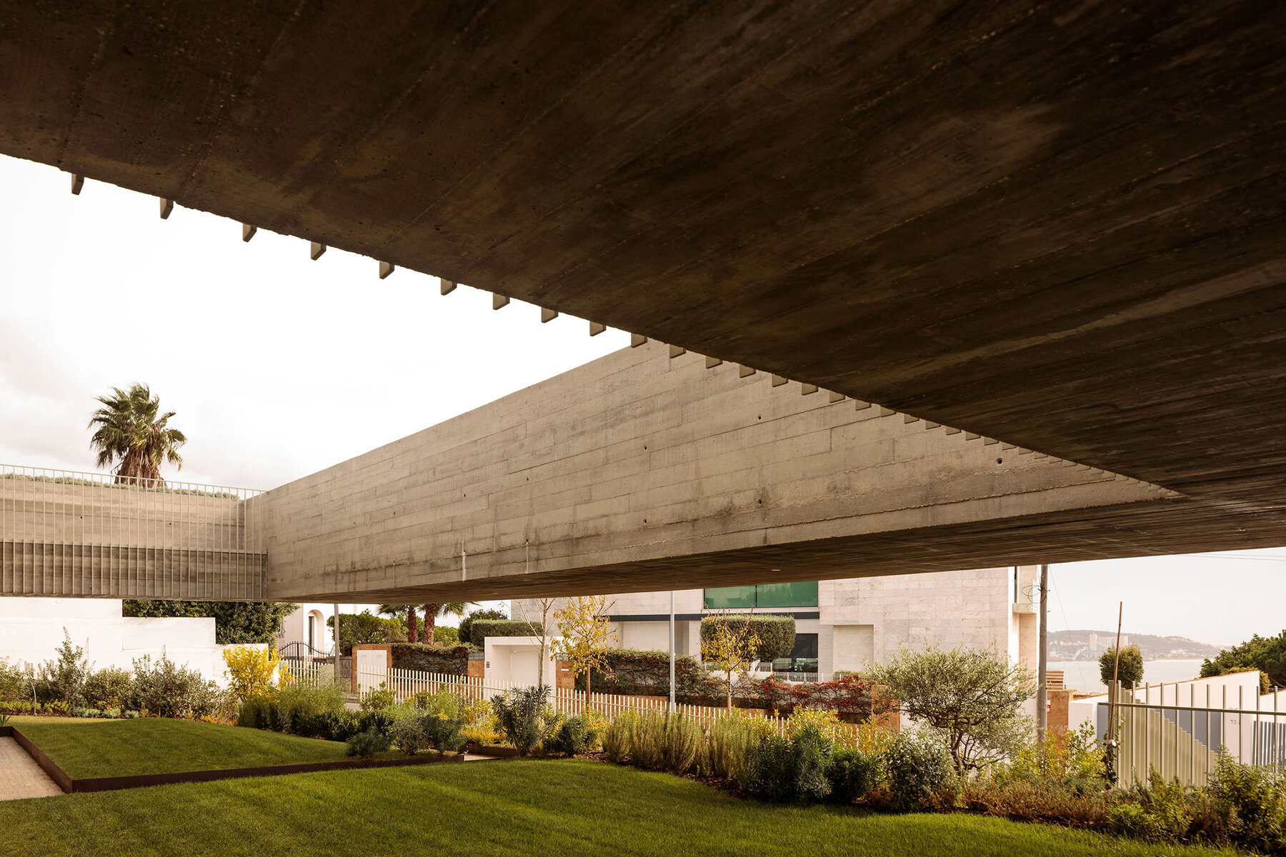 SIA-arquitectura-rua-sara-beirao-portugal-designboom-06a