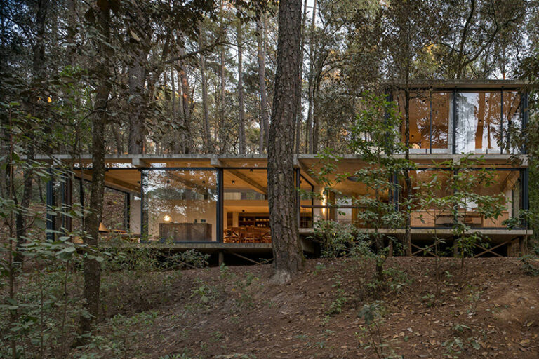 estudio atemporal's casa cono: glass home floats in mexico's forest