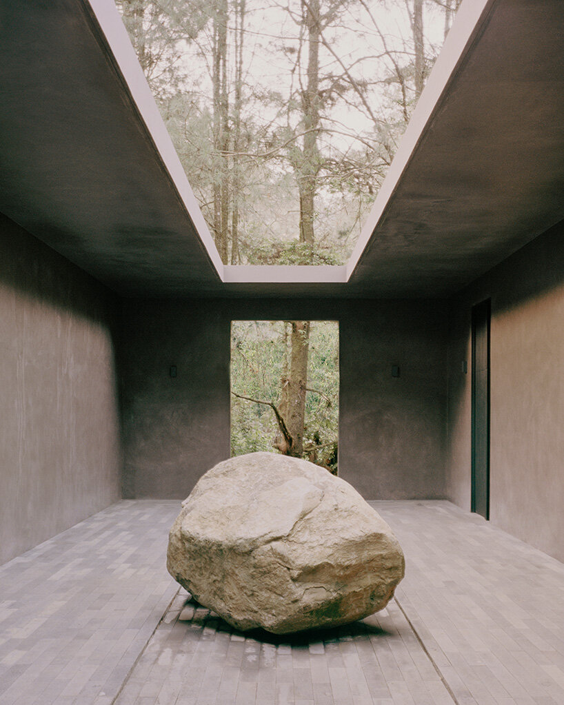 mexican studio PPAA curates minimalist 'copas' house to open onto lush treetops