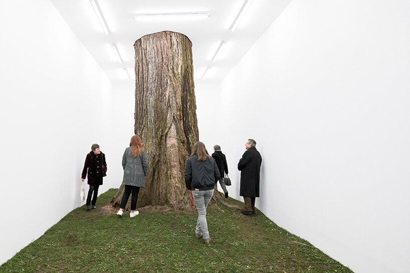 La próxima instalación de Fabian Knecht aísla la naturaleza salvaje de Austria dentro de un cubo blanco