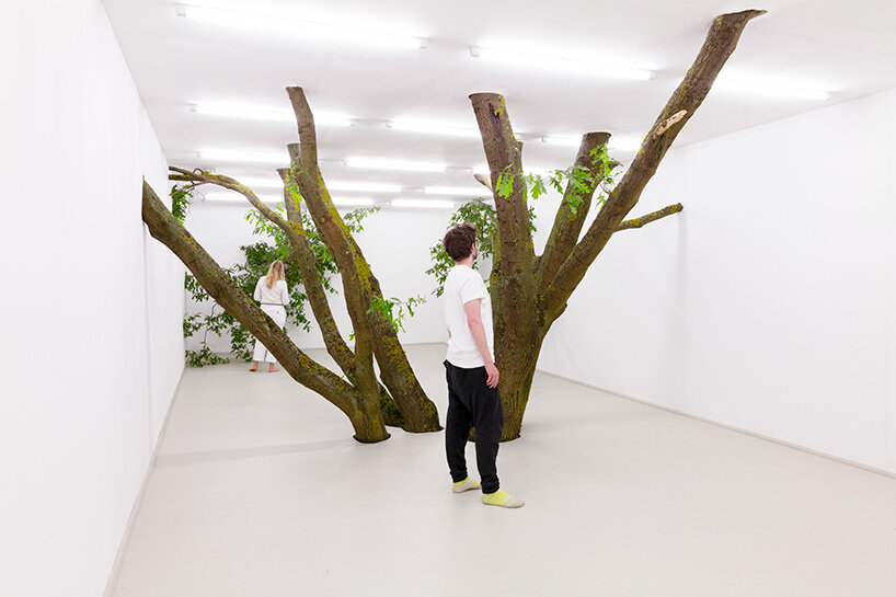 La próxima instalación de Fabian Knecht aísla la naturaleza salvaje de Austria dentro de un cubo blanco