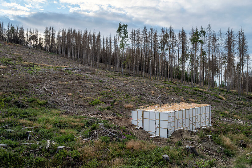 La próxima instalación de Fabian Knecht aísla la naturaleza salvaje de Austria dentro de un cubo blanco