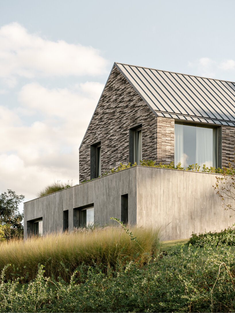 gable roof openings illuminate internal gardens within barn house in ...