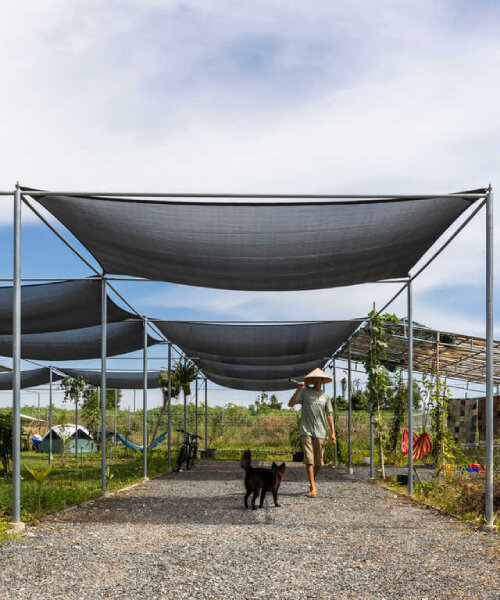 studio anettai perches small concrete and steel home amid pepper plantation in vietnam