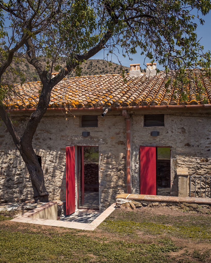 Rai Pinto Pero Estela