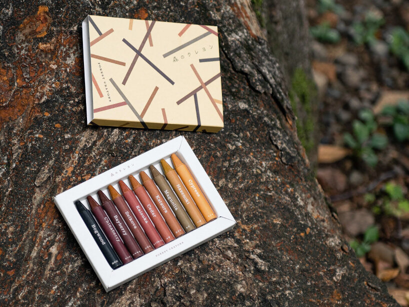 playfool forest crayons recycled wood