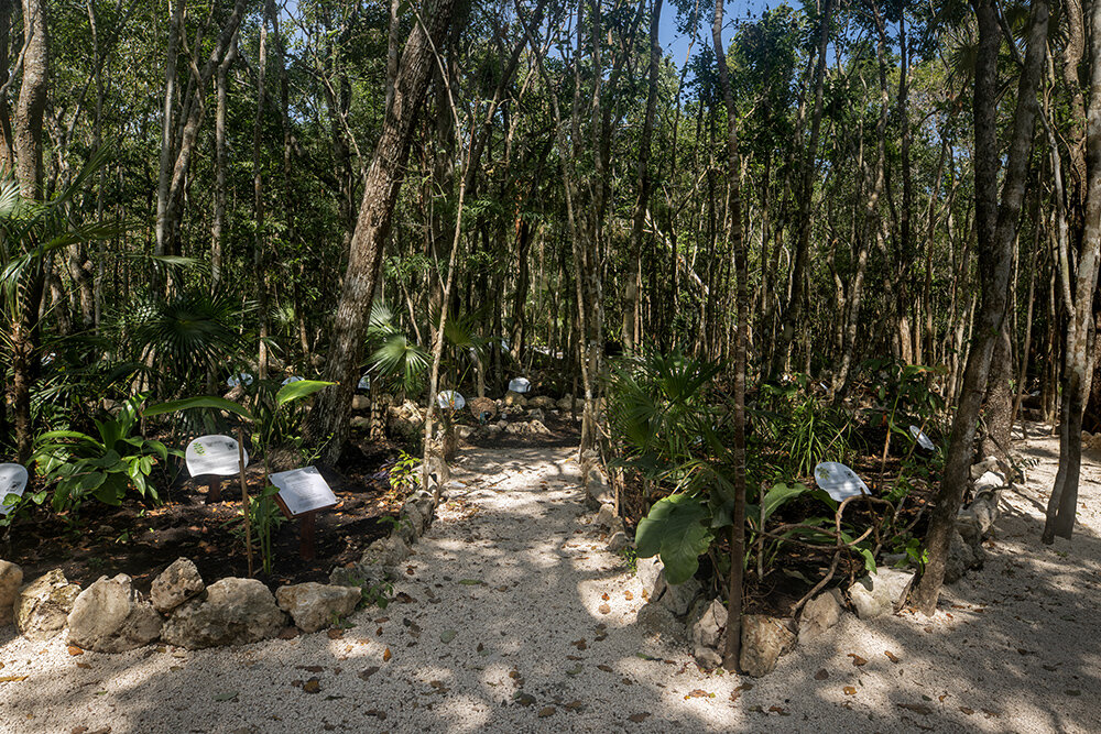 undulating garden sculptures at SFER IK basin pay homage to interspecies co-creation