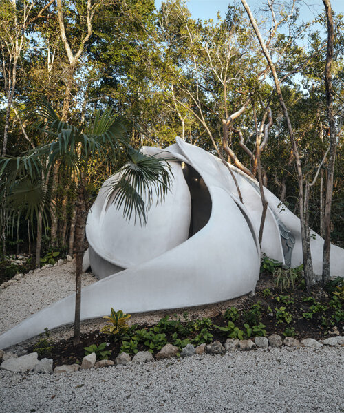 undulating garden sculptures at SFER IK basin pay homage to interspecies co-creation