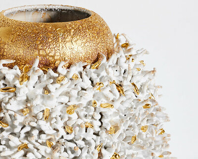 southern guild cape town opens a trio of shows with birch, houndekpinkou & fani
