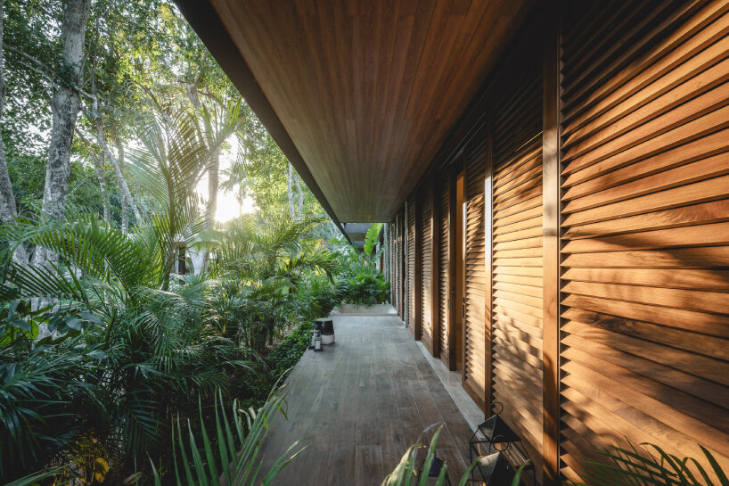 lush vegetation and stone walls enclose taller mexicano de arquitectura's hotel spa in mexico