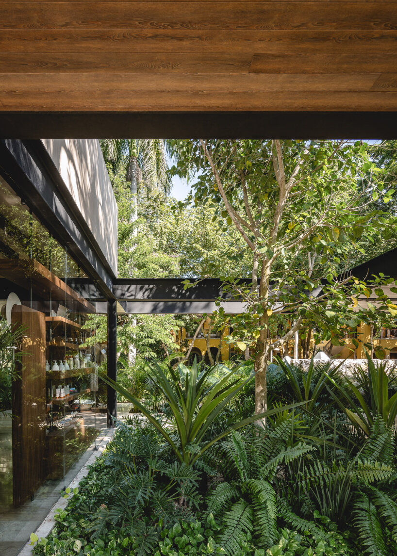 lush vegetation and stone walls enclose taller mexicano de arquitectura's hotel spa in mexico