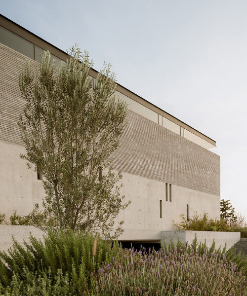 concrete blocks with grid-like interventions wrap laboratorio de arquitectura’s mexico house