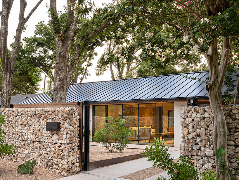 friar tuck black rabbit