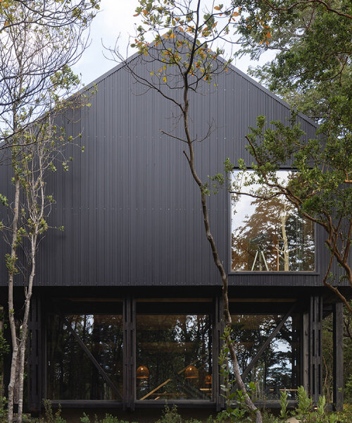 transparent below and sheltered on top, KW house sits amid forest in chile