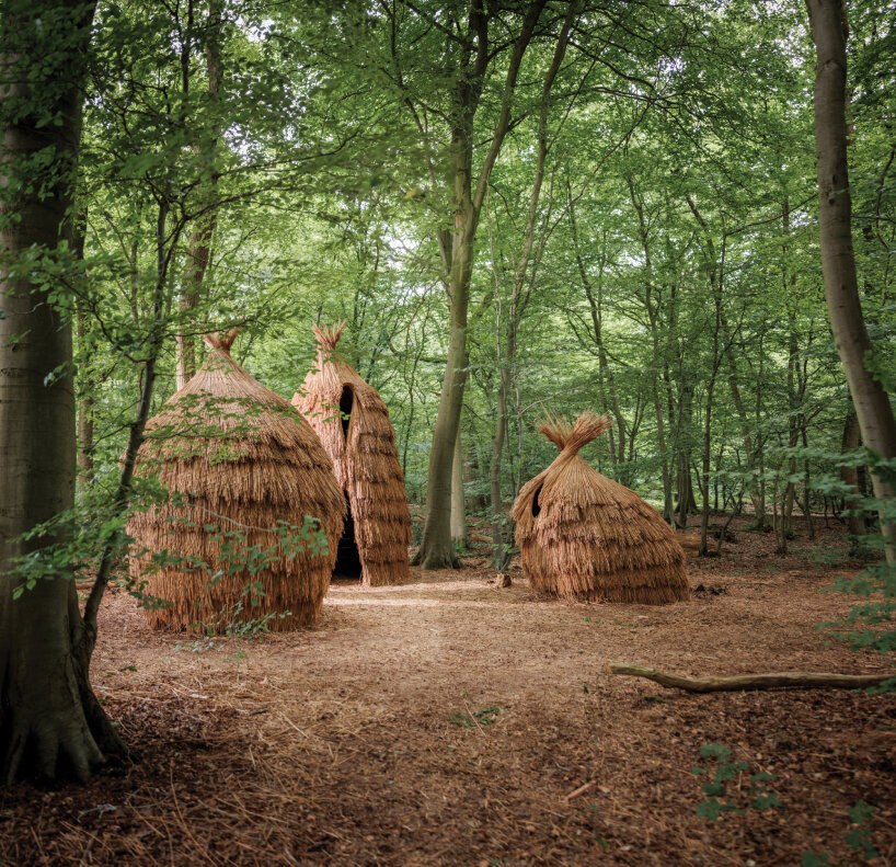 the installation is on display in the Roumare forest near Rouen from June 2024 to September 2026