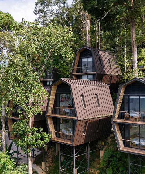 m j kanny architect plants cluster of nest-like chalets on malaysian hillside