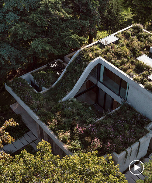 cascading patio shapes terraced garden hills at olivos house, wrapping surrounding landscape