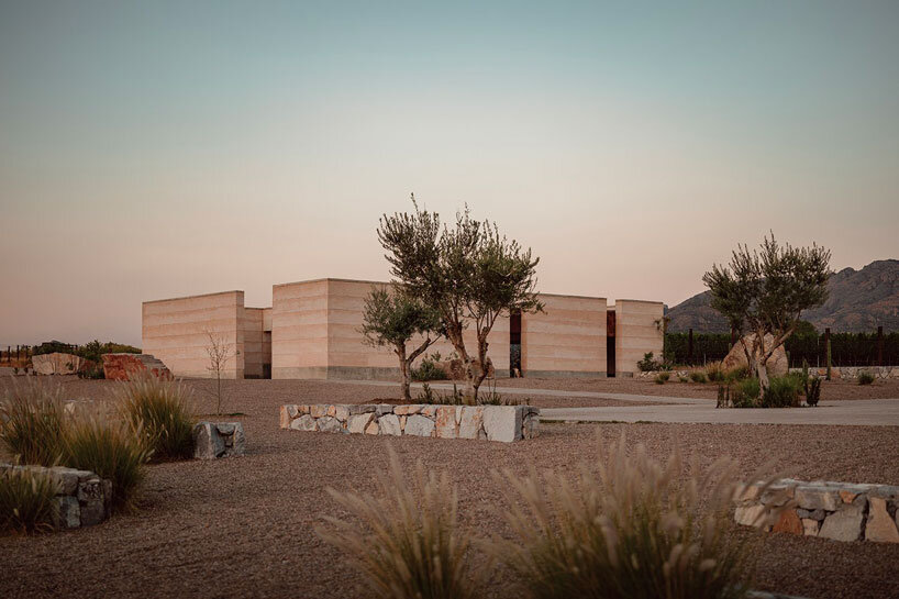 COA arquitectura's winery in mexico combines rammed earth and metal sheets