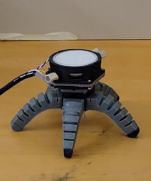 mycelium has electrical signals that can control biohybrid robots and make them move