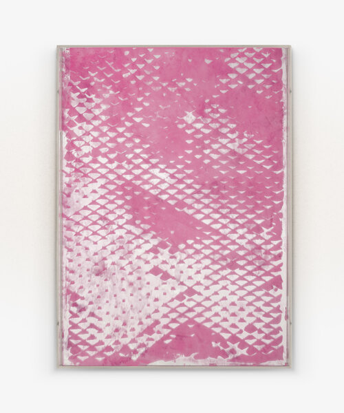 NZZ x pamela rosenkranz release screen-printed mirrors depicting animalistic patterns