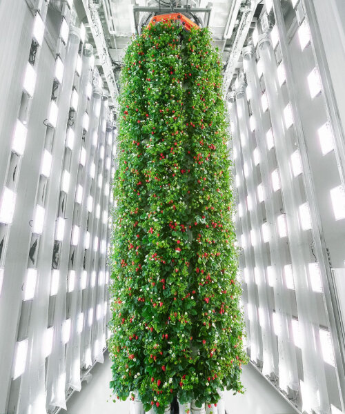 plenty opens world’s first vertical farm that uses AI to grow strawberries indoors in virginia