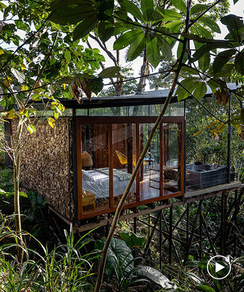 repurposed metal pipes elevate bamboo lodge emerging from ecuadorian rainforest