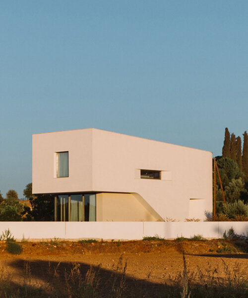 cypress-lined landscape embraces versa architecture's villa JJ in cyprus