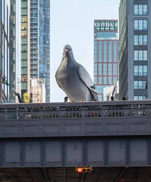 iván argote’s hyperrealistic aluminum pigeon ‘dinosaur’ lands above the high line in new york