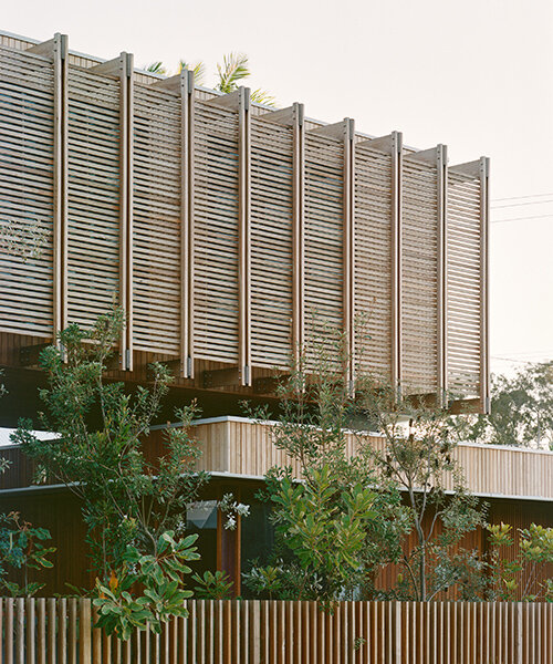 son studio architects elevates this bangalow road house on stilts over byron bay