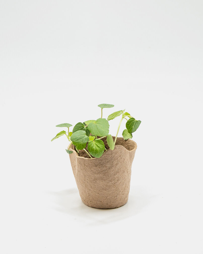 3D printed molds shape biodegradable bough pot from recycled pulp and rice paste