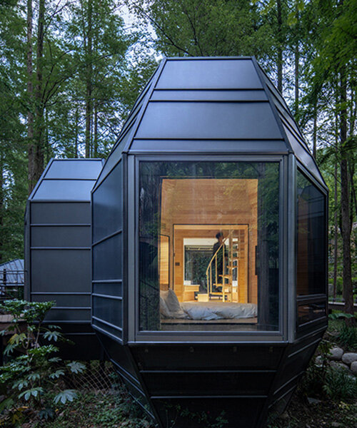 GLA design elevates detached hotel cabins amid towering trees in chinese forest