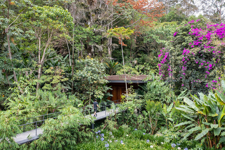 jungle gym wellness space by VOID hidden in tropical costa rica