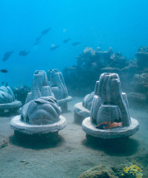 resting reef blends pet ashes with crushed shells for sustainable underwater urns