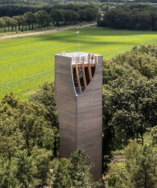 curved aperture in NEXT architects' watchtower reveals wooden frame and spiral staircase