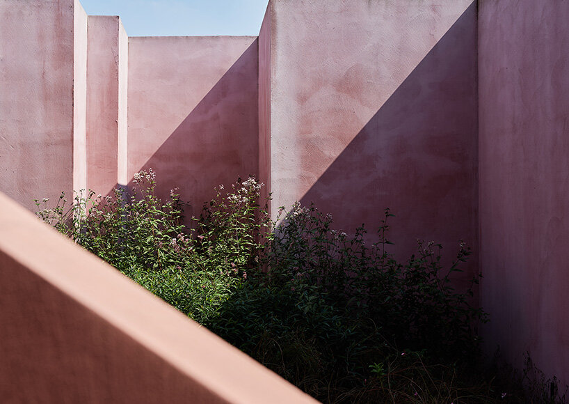 cherry blossom pink cement coats cultural space by qicang design in china